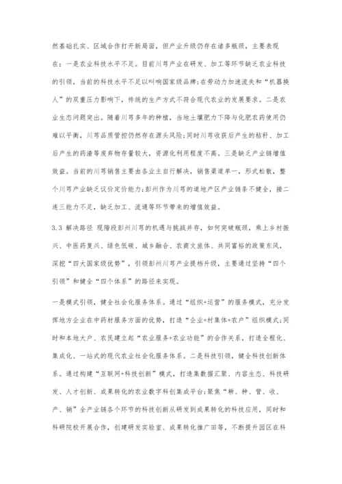 中药材品牌与中药材品质价值提升路径研究.docx