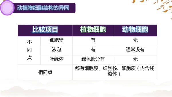 人教版（2024）七年级上册1.2.3动物细胞 课件(共27张PPT)