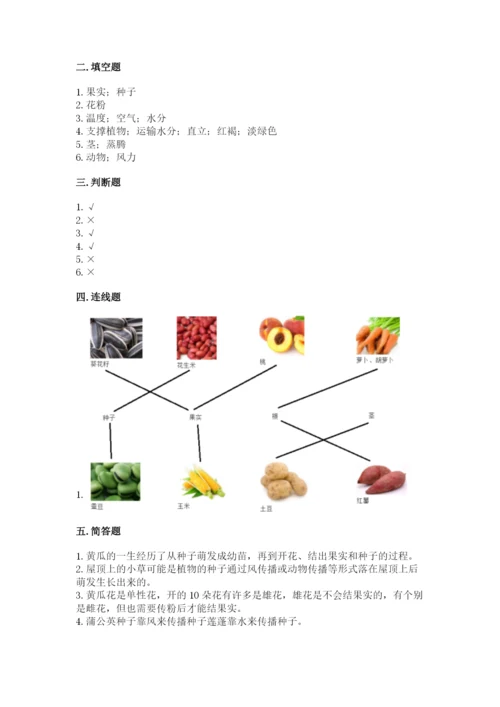 科学四年级下册第一单元植物的生长变化测试卷及完整答案1套.docx