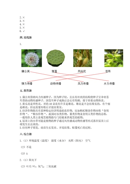 教科版四年级下册科学第一单元《植物的生长变化》测试卷附答案培优