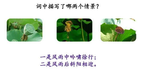 九年级下册 第三单元 课外古诗词诵读《定风波》课件(共19张PPT)