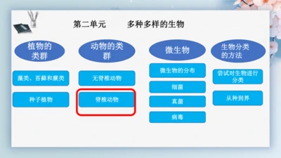 2.2.2脊椎动物（第2课时两栖动物和爬行动物）-七年级生物上册同步优质备课系列（人教版2024新教