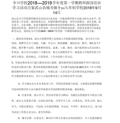 教师跟岗培训活动方案