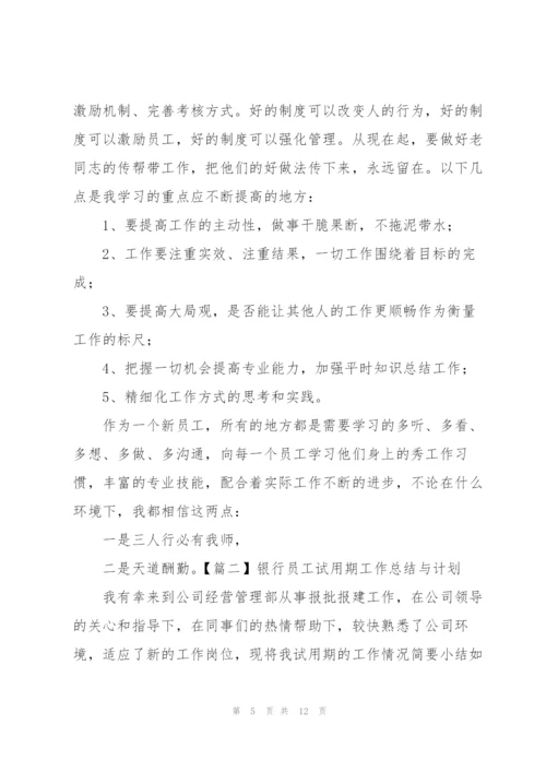 银行员工试用期工作总结与计划.docx