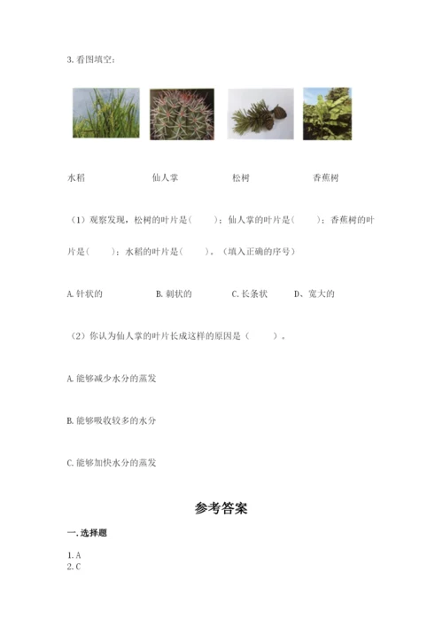 教科版四年级下册科学第一单元《植物的生长变化》测试卷（综合题）.docx