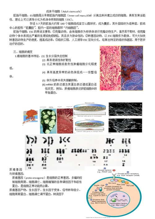 高中生物竞赛细胞的生活