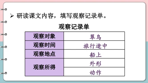 第15课《搭船的鸟》（第二课时）课件