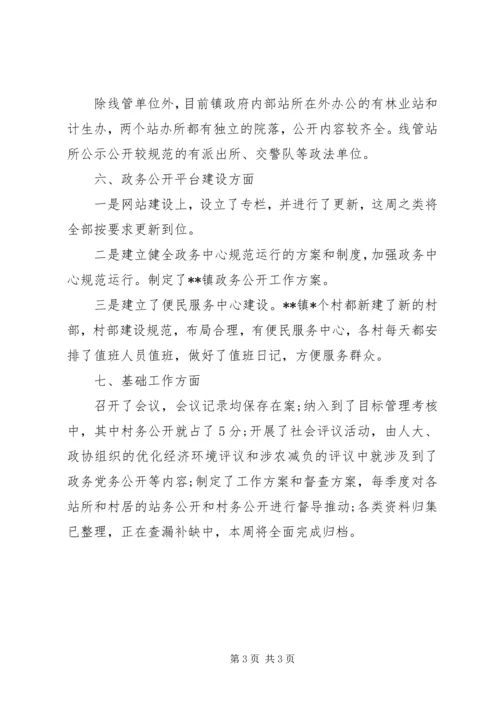 乡镇政务公开自清自查报告.docx