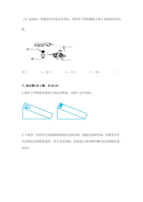 教科版科学三年级下册期末测试卷及答案（全优）.docx