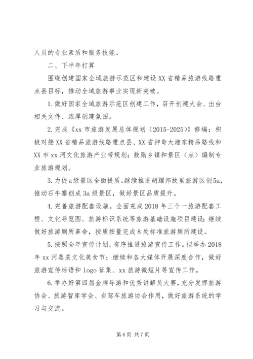 旅游局XX年上半年工作总结及下半年工作计划 (2).docx