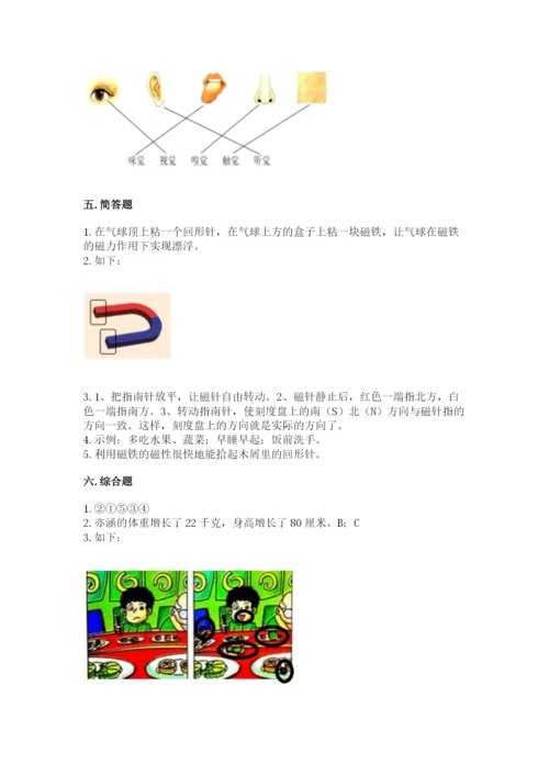 教科版二年级下册科学期末测试卷（夺冠）word版.docx