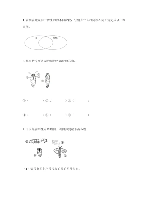 教科版三年级下册科学期末测试卷含完整答案【历年真题】.docx