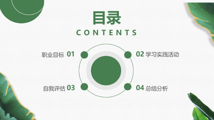 绿色会计学专业大学生职业生涯规划发展展示PPT模版