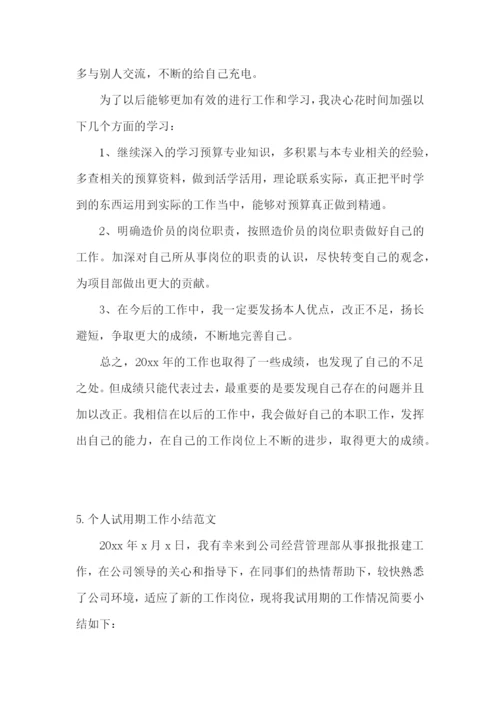 个人试用期工作小结范文(5篇).docx