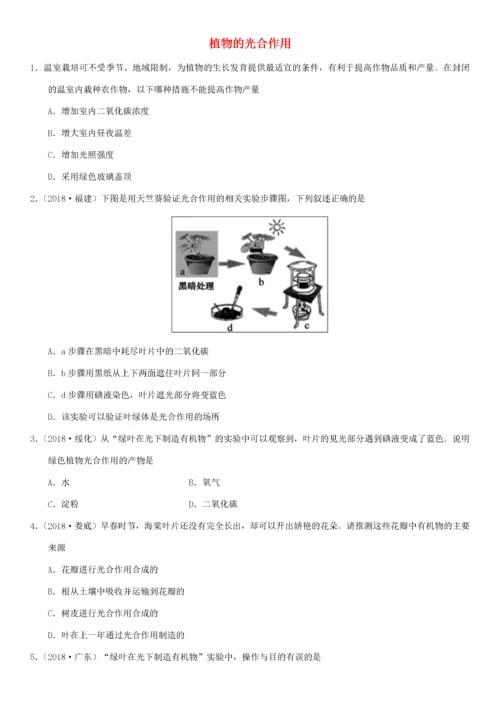 中考生物 专题汇编 植物的光合作用-人教版初中九年级全册生物试题.docx