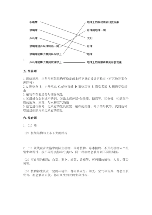 教科版六年级下册科学期末测试卷审定版.docx