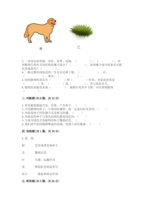 科学四年级下册第一单元《植物的生长变化》测试卷附答案（考试直接用）.docx