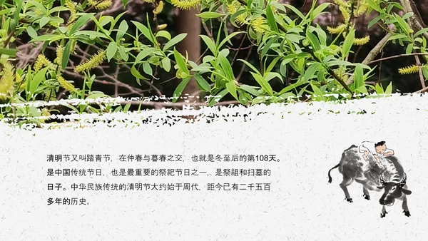 传统节日清明节民俗文化介绍ppt模板