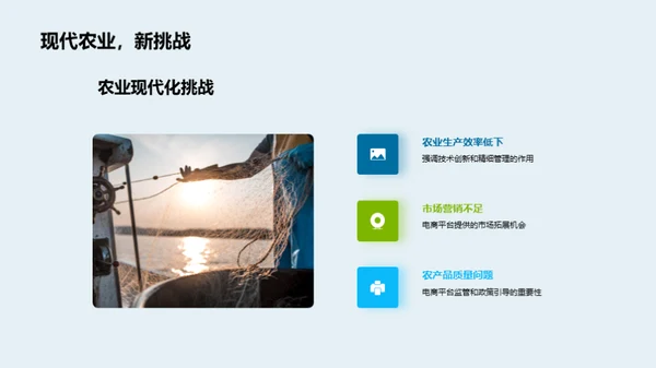 电商驱动农业现代化