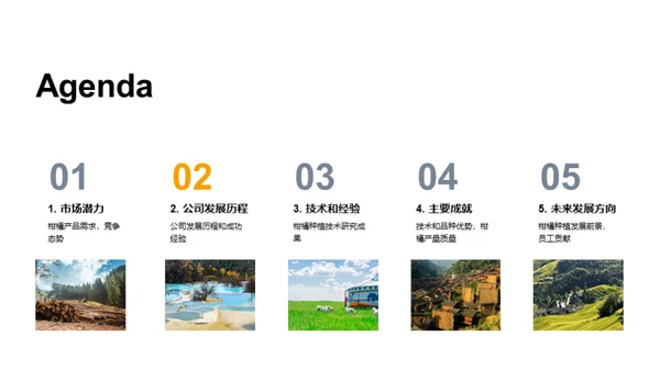 柑橘产业：未来之路