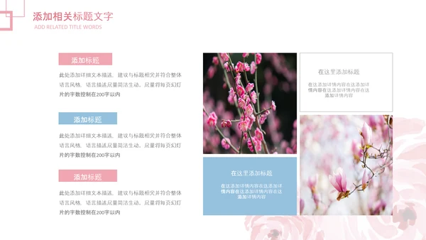 妇联三八妇女节年终工作总结汇报PPT模板