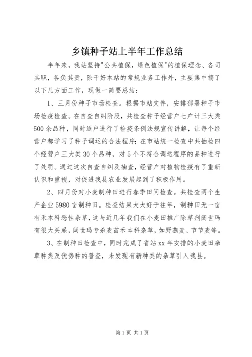 乡镇种子站上半年工作总结.docx