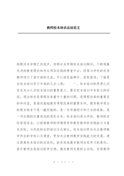 教师校本培训总结范文.docx