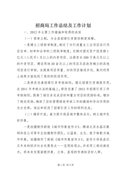 招商局工作总结及工作计划.docx