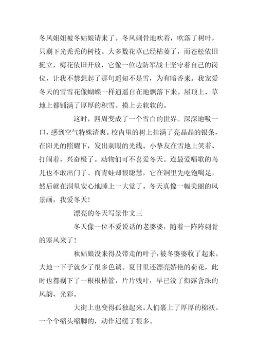 2024年美丽的冬天写景作文4篇