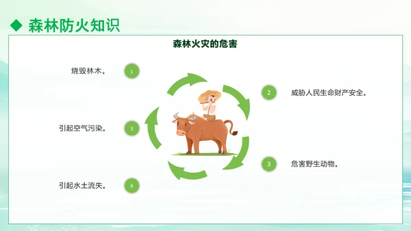 清明防火知识安全宣讲通用PPT模板