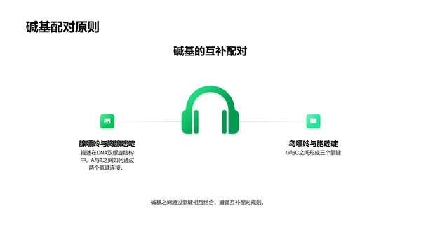 DNA解析与应用PPT模板