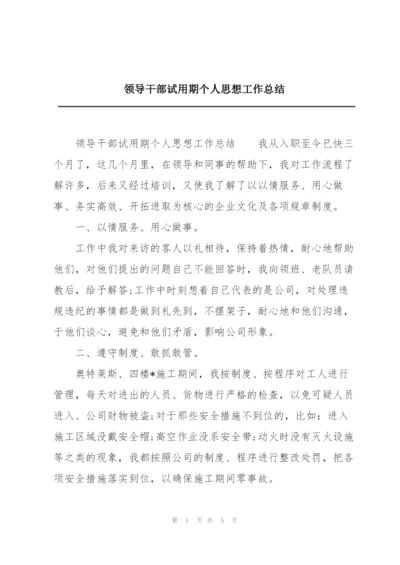 领导干部试用期个人思想工作总结.docx