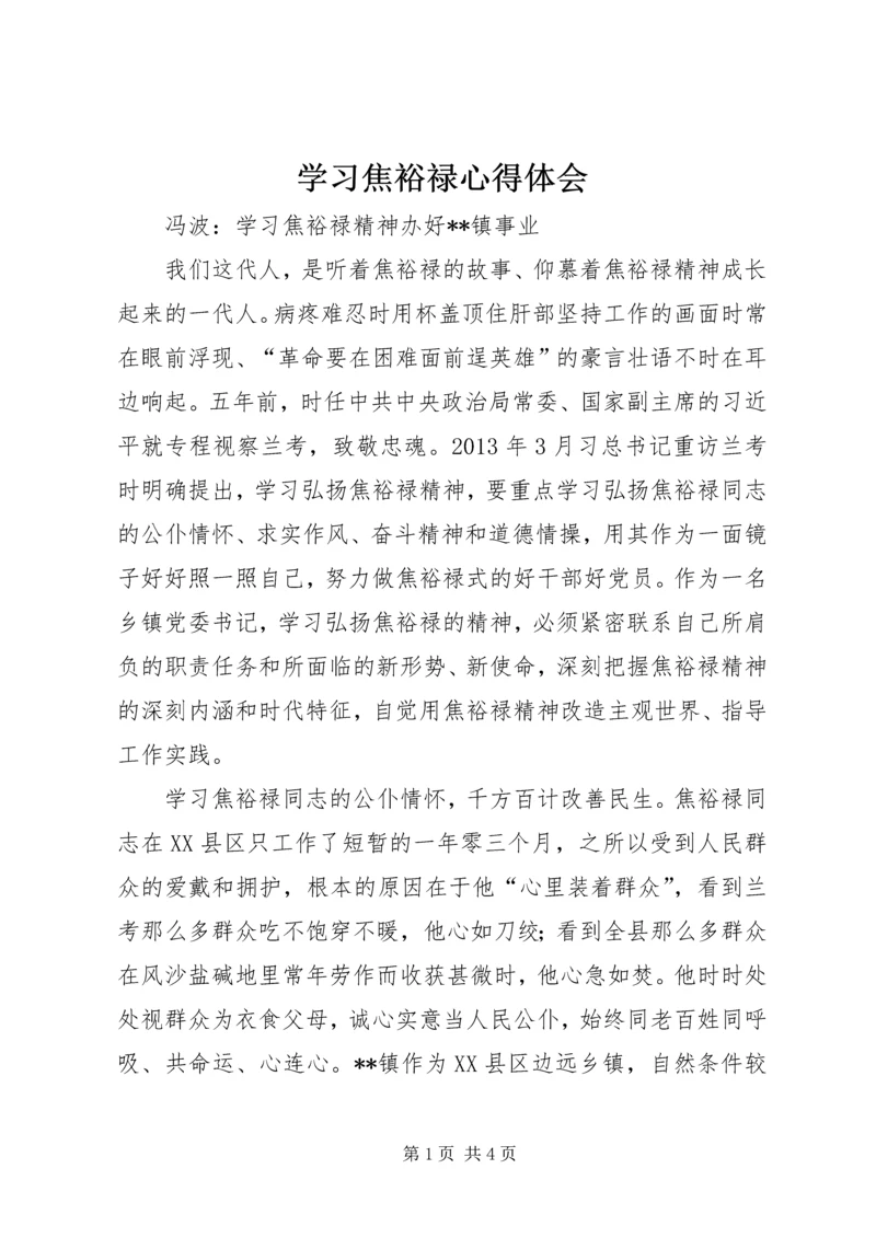 学习焦裕禄心得体会 (4).docx