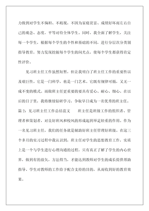 2021见习班主任工作总结范文