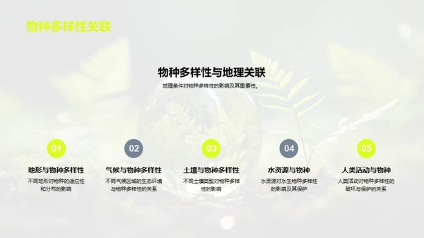 地理环境的奥秘与保护