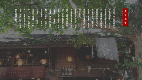印象成都文旅宣传通用PPT模板
