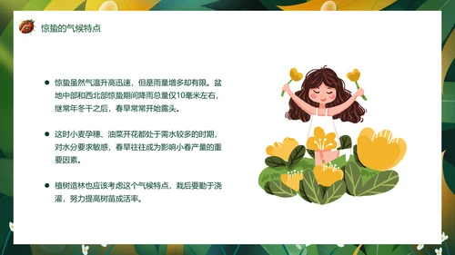 七星瓢虫惊蛰PPT模板