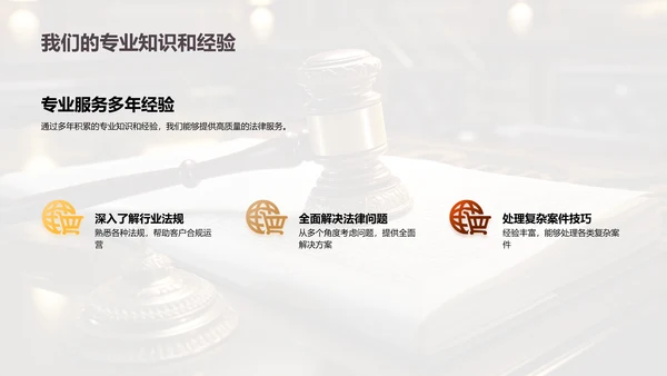 法律精英：共创辉煌