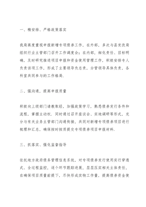 项目谋划专项债申报汇报.docx