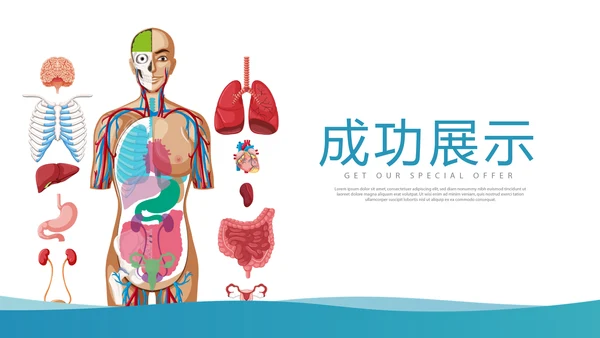 医疗医学人体结构动态PPT