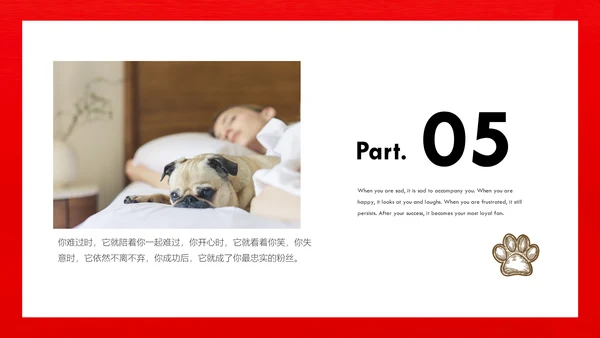 丑萌的小狗狗宠物通用PPT模板
