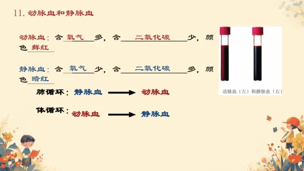 初中生物学[期末专区]七年级下册第四章和第五章复习课件(共39张PPT)