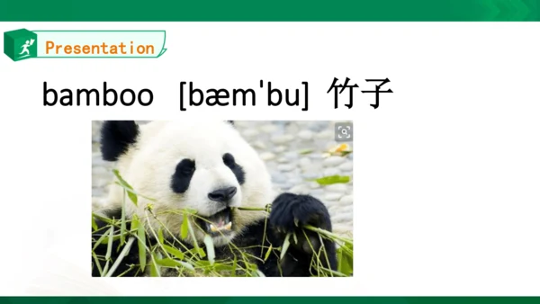 Unit3 Animals Lesson3同步课件