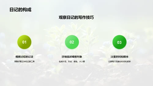 探索植物奇妙生命