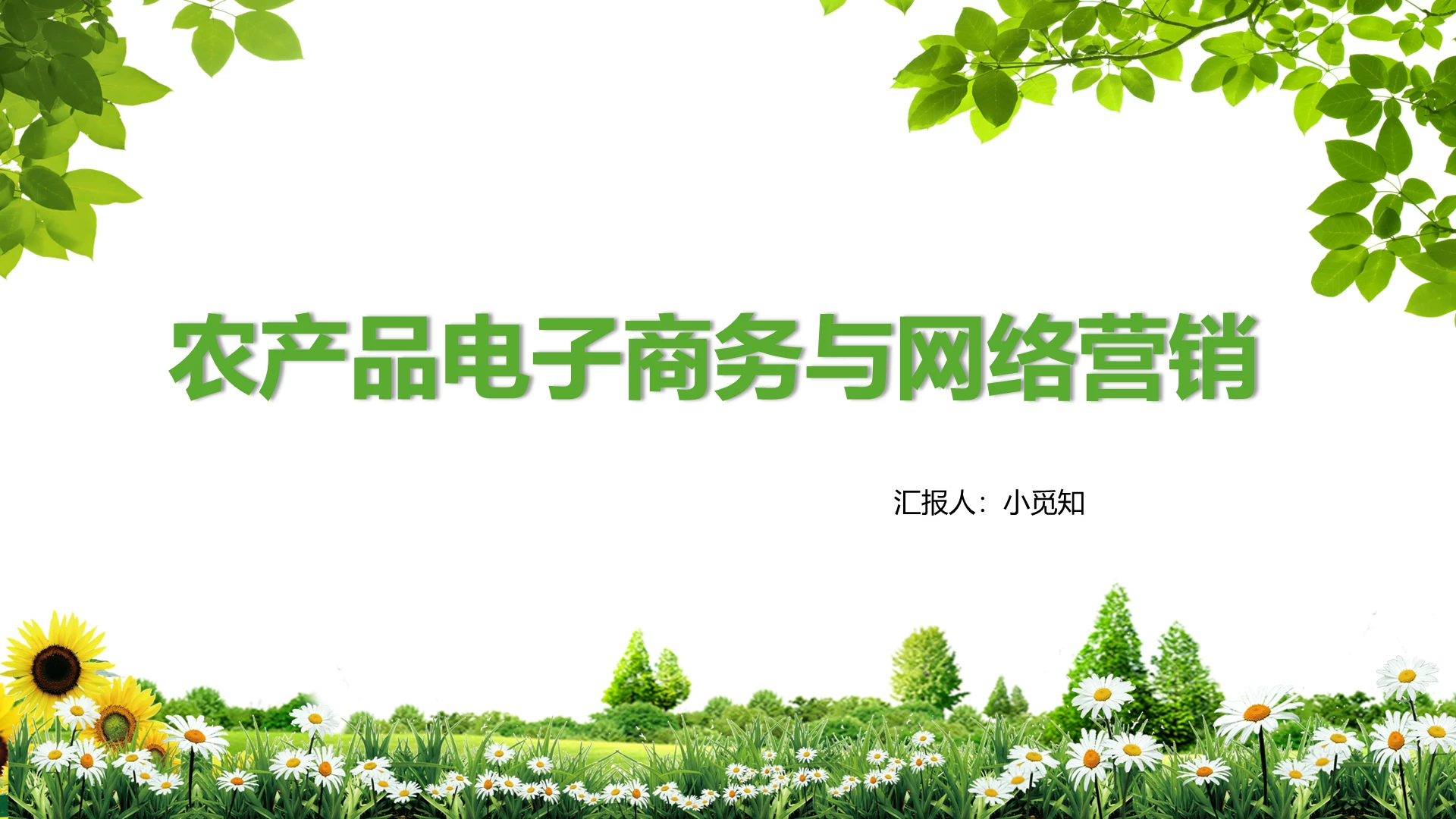 绿色简约风网络营销农产品电子商务与网络营销PPT模板网络营销ppt课件