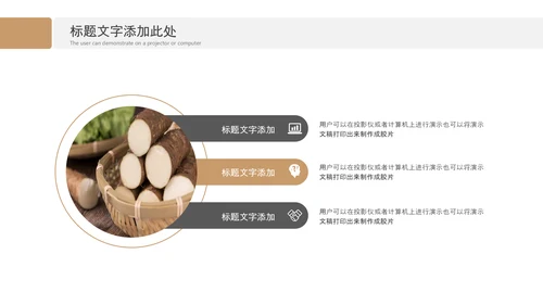 养生山药绿色原生态农业山药种植画册PPT