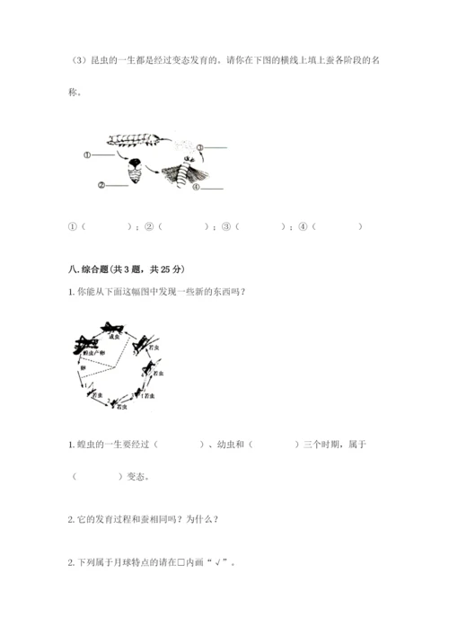 教科版小学科学三年级下册期末测试卷附完整答案（夺冠系列）.docx