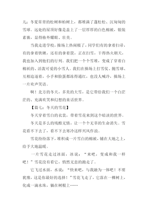 冬景作文300字0.docx