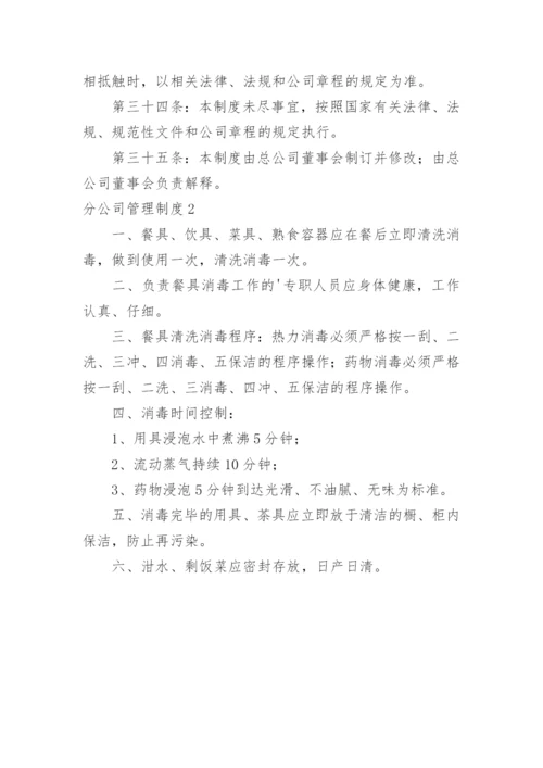 分公司管理制度_3.docx