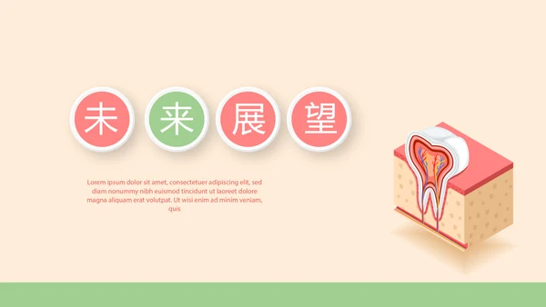 认识牙齿预防蛀牙动态PPT